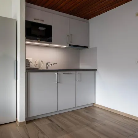 Apartamento Zurschmitten 0 1- Ug Sued By Interhome Riederalp
